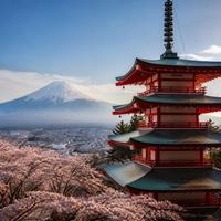 Pagoda, cherry blossom and Mount Fuji